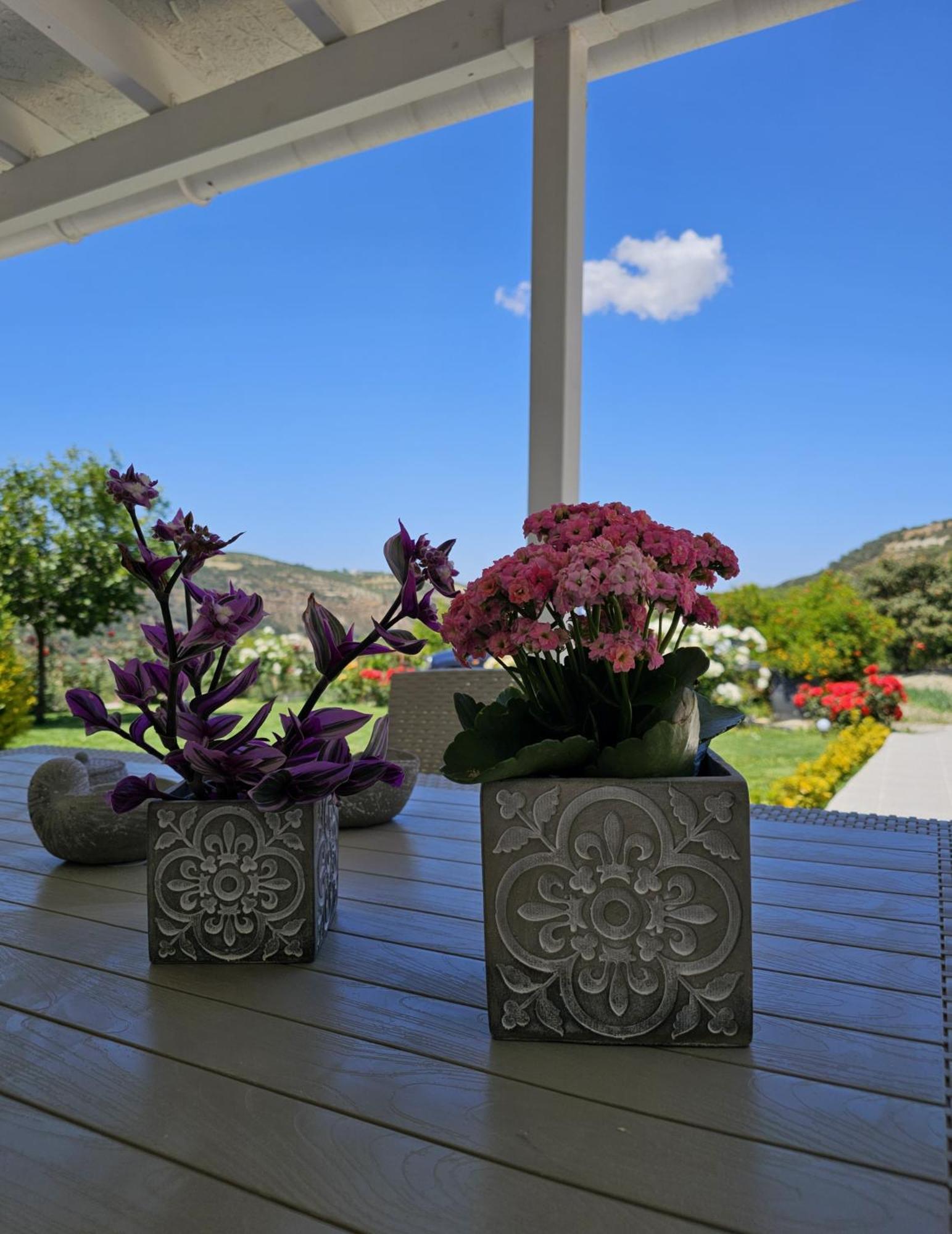 Ornament: Infinite Nature Villa Dhafnes Екстер'єр фото